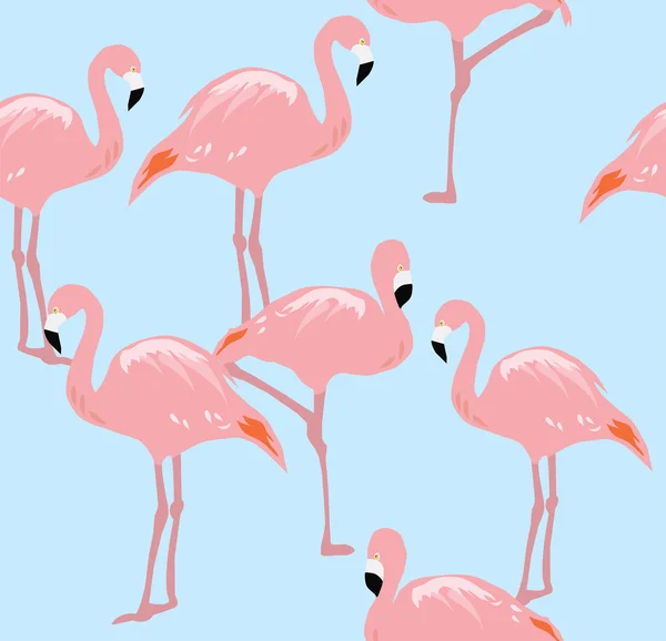 Vektor Flamingo nahtloser Hintergrund — Stockvektor