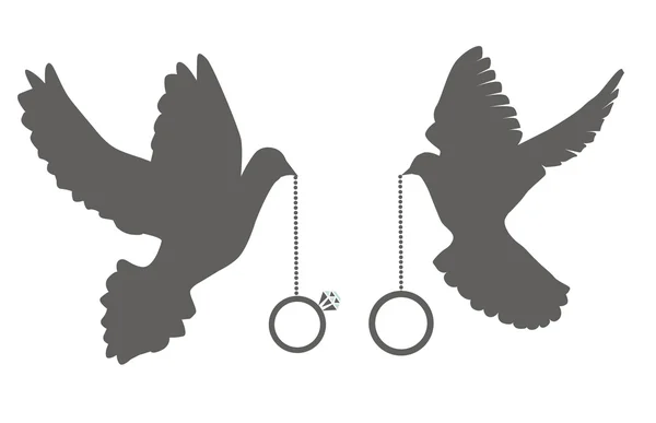 鸽子与圆环 — 图库矢量图片