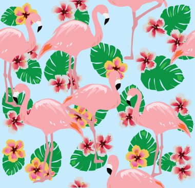 Vektör Flamingo kuşları