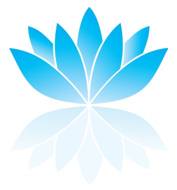 vektör lotus çiçeği