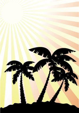 Vektör palmiye ağaçları