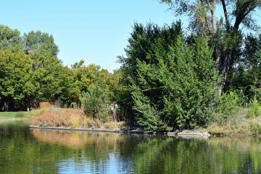 Park su birikintisi ile