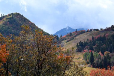 Dağlarda sonbahar renkleri