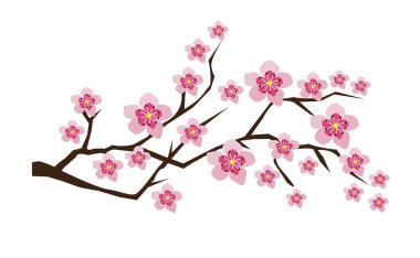 Üzerinde pembe çiçekler, kiraz çiçekleri ve orkide olan çiçek dallarının vektör çizimi.