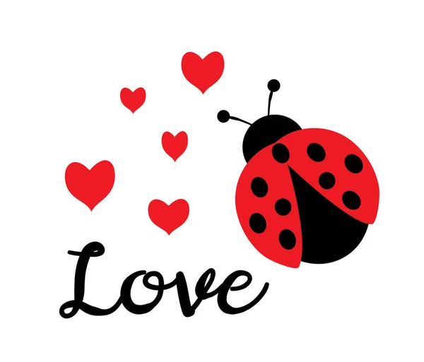Vector Illustration Love Ladybug Red Hearts — Stock Vector