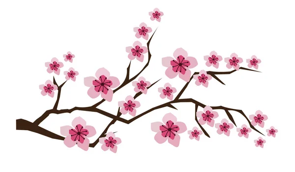 Illustrazione Vettoriale Rami Fiori Con Fiori Rosa Fiori Ciliegio Orchidea — Vettoriale Stock