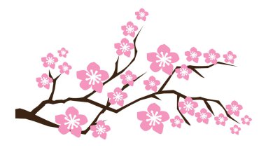 Kiraz çiçeği dalının vektör çizimi