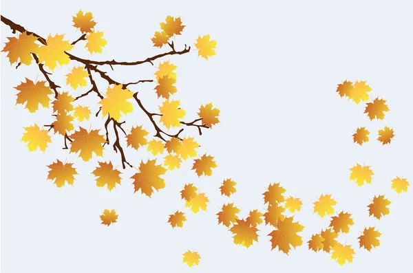 Podzim větev — Stockový vektor