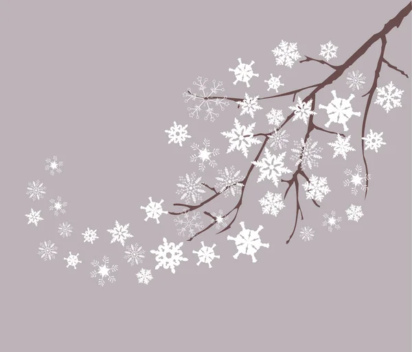 Sneeuw boom — Stockfoto