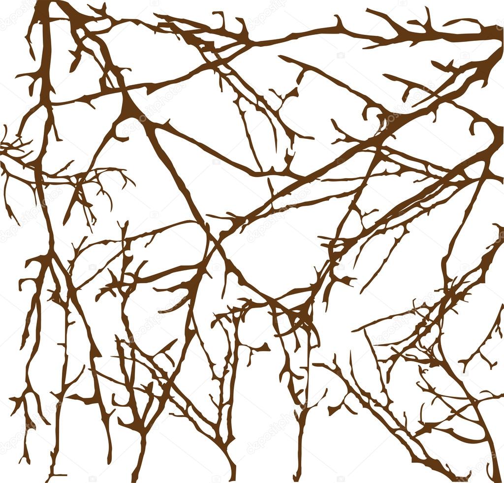 Vector tree branches background