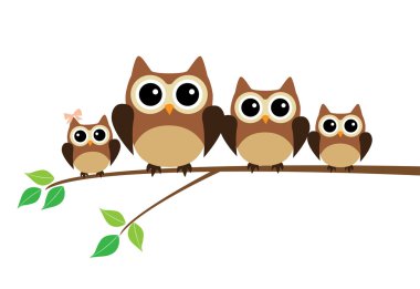 baykuş aile