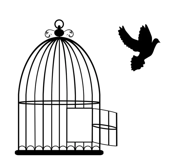 Cage à oiseaux — Image vectorielle