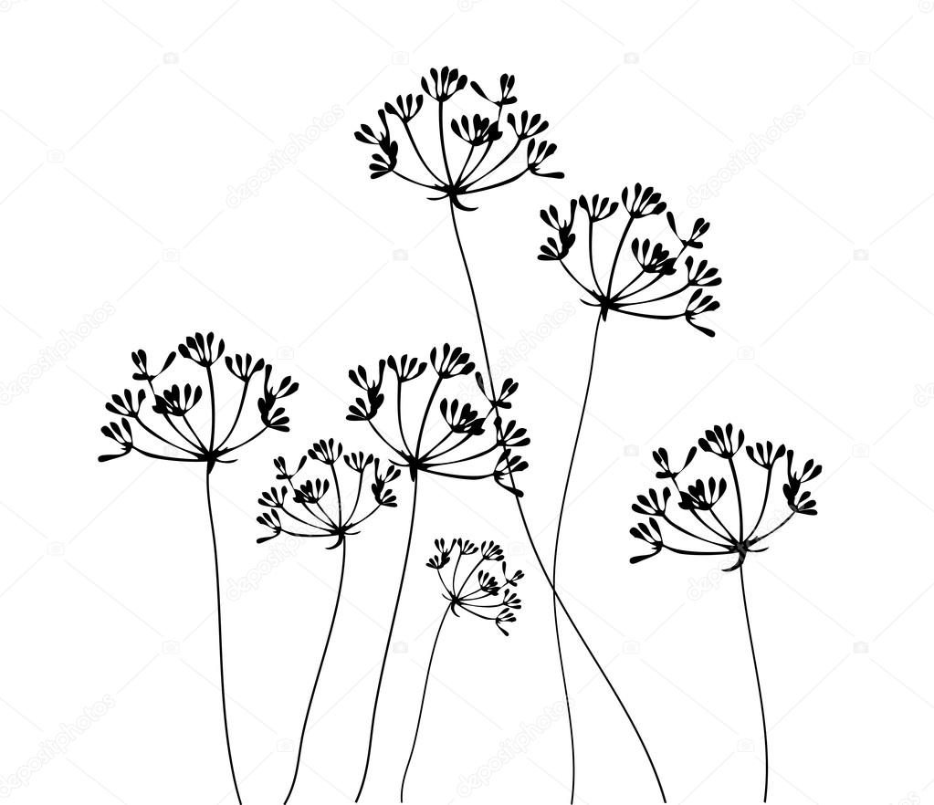 Fennel Flower Vector