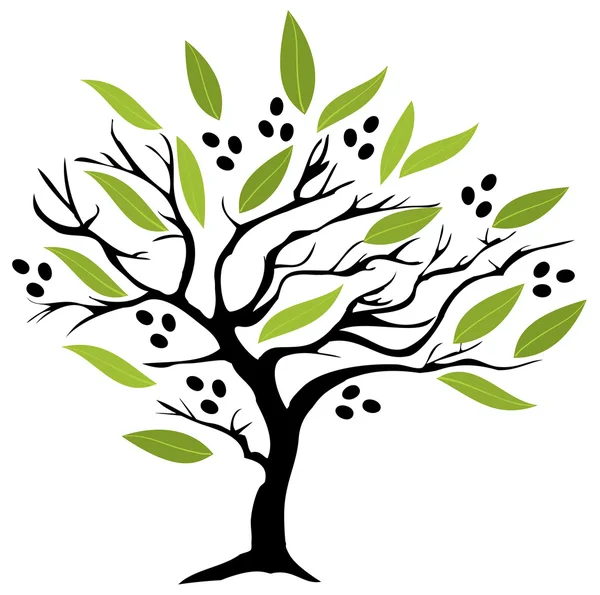Olivenbaumvektor — Stockvektor