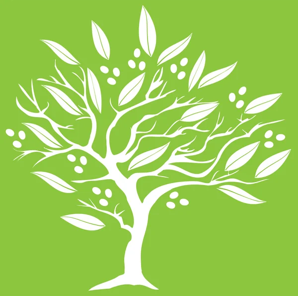 Vektor för olivträd — Stock vektor