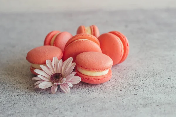 Des Macarons Délicieux Desserts Français Des Macarons Sur Table Macarons — Photo