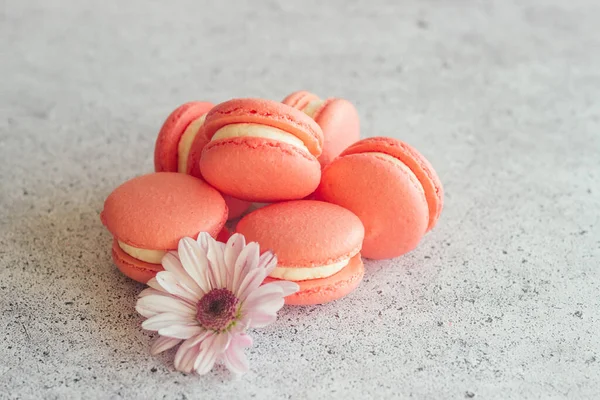 Macaroons. Delicious french desserts. Macaroons on the table. Macaroons with flower