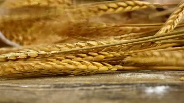 Golden wheat stems falling on the old wooden background, slow motion — Stock Video