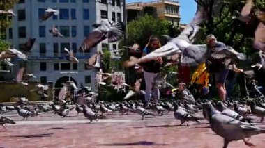 Barcelona, İspanya - 7 Mayıs 2016: insanlar güvercinler Placa de Catalunya, Barcelona, ağır çekimde sürüsü tarafından çevrili