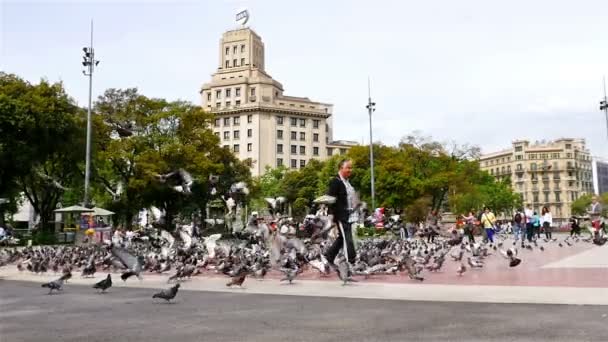 БАРСЕЛОНА, Испания - 7 мая 2016 года: Человек в окружении стаи голубей на площади Каталонии, Барселона, замедленная съемка — стоковое видео