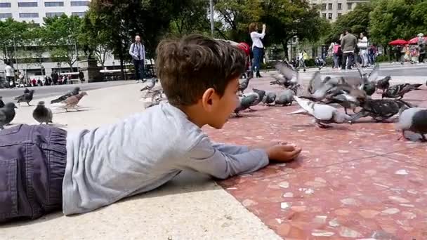 BARCELONA, SPAIN - MAY 7 2016: Little boy feeding pigeons in Placa de Catalunya, Barcelona, slow motion — Stock Video