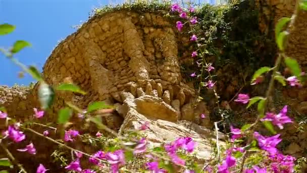 안토니 가우디의 공원 Guell, 바르셀로나, 스페인의 테라스 벽에 새 둥지 아래 꽃 — 비디오