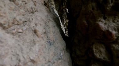 Antoni Gaudi'nin Park Guell, Barselona, İspanya'daki yolu destekleyen kasadan çapraz itme kuvvetini almak için eğimli dış sütunlar ile yol viyadükaltında sütunlu patika