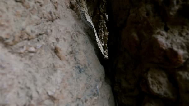 Chemin de randonnée à colonnade sous le viaduc de la route, avec des colonnes extérieures inclinées pour prendre la poussée diagonale de la voûte soutenant la route dans le parc Antoni Gaudi Guell, Barcelone, Espagne — Video