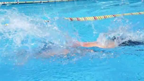 Professionele zwemmer is zwemmen dagvlinder in een zwembad. Vlinder opleiding. — Stockvideo
