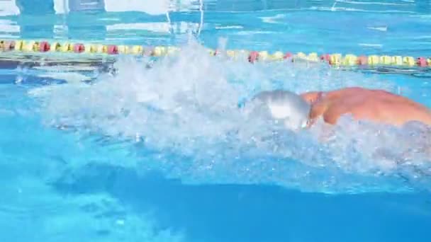 Professionele zwemmer is schoolslag zwemmen in een zwembad. Schoolslag opleiding. — Stockvideo