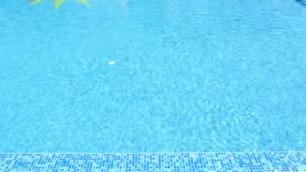 Zwei kleine Mädchen im Badeanzug springen in einem Pool — Stockvideo