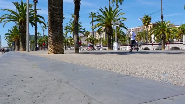 BARCELONA, ESPAÑA - 8 DE MAYO DE 2016: Callejón de la playa de Barcelona con palmeras, dolly — Vídeos de Stock