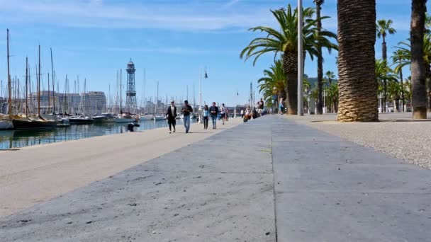 Barcelona, Spanien - 8 maj 2016: Stränder bay gränd i Barcelona med palmer, dolly — Stockvideo