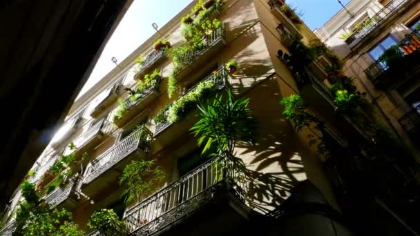 Låg vinkel skott av byggnader i de gotiska kvarteren i Barcelona — Stockvideo