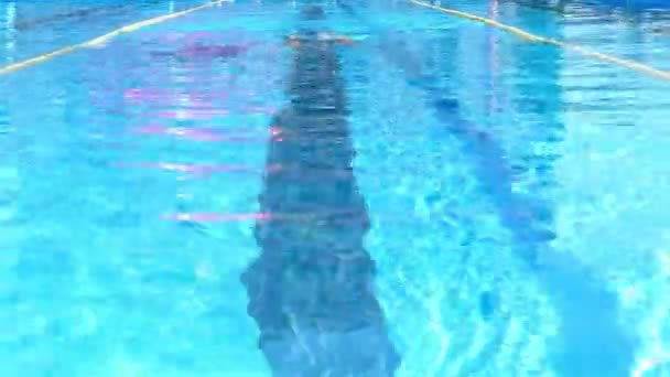 Professional swimmer is swimming butterfly in a pool — Stock Video