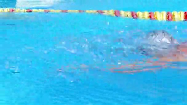 プロの水泳選手は、プールでスイミング蝶です。バタフライ トレーニング. — ストック動画