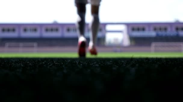 Silhouette di un giocatore di calcio che esce allo stadio — Video Stock