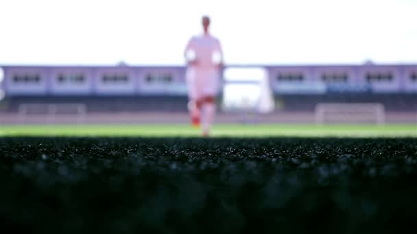 Silhouette di un calciatore che lascia il campo dello stadio — Video Stock