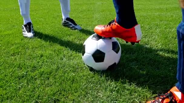 Ballon de football sur le point central d'un terrain de football, deux joueurs commencent le match — Video