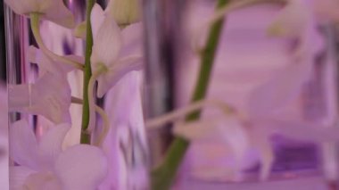 Düğün dekorasyon beyaz ve mor çiçek ve mum