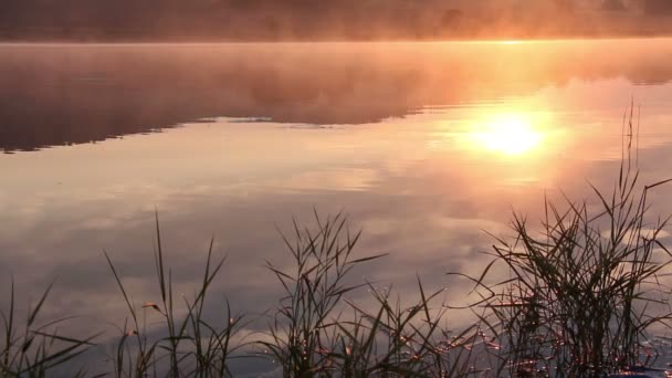 Soluppgång på sjön, soluppgång över floden, morgon landskap — Stockvideo