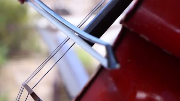 Musicus spelen op cello, notes alvorens — Stockvideo