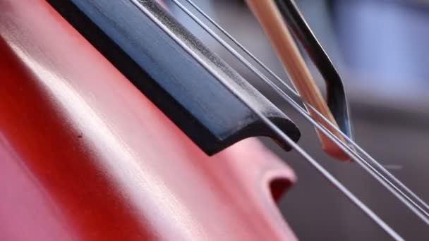 Musicus spelen op cello, notes alvorens — Stockvideo