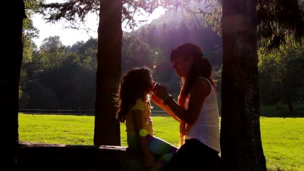 Mother and daughter hugging and kissing on tree log. Sunset in the background — Stock Video