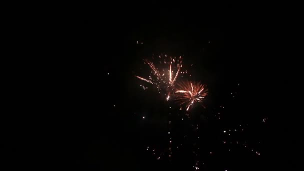 Fogos de artifício na noite de férias — Vídeo de Stock