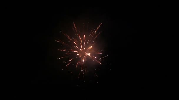 Fogos de artifício na noite de férias — Vídeo de Stock