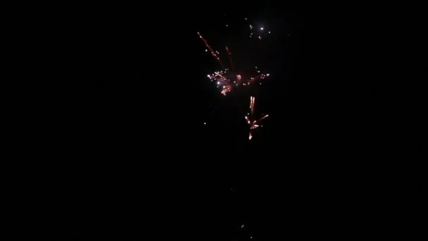 Fogos de artifício na noite de férias — Vídeo de Stock