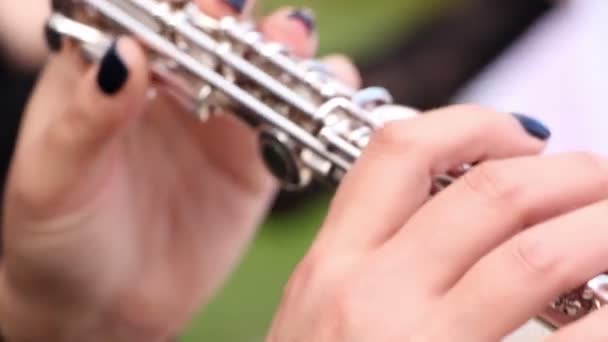 Музыкант играет на флейте — стоковое видео