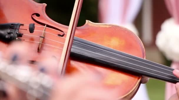 Músico de rua toca violino — Vídeo de Stock