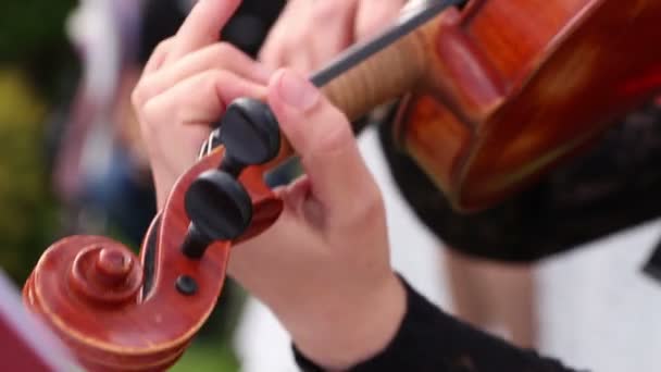 Street musician play on violin — Stock Video